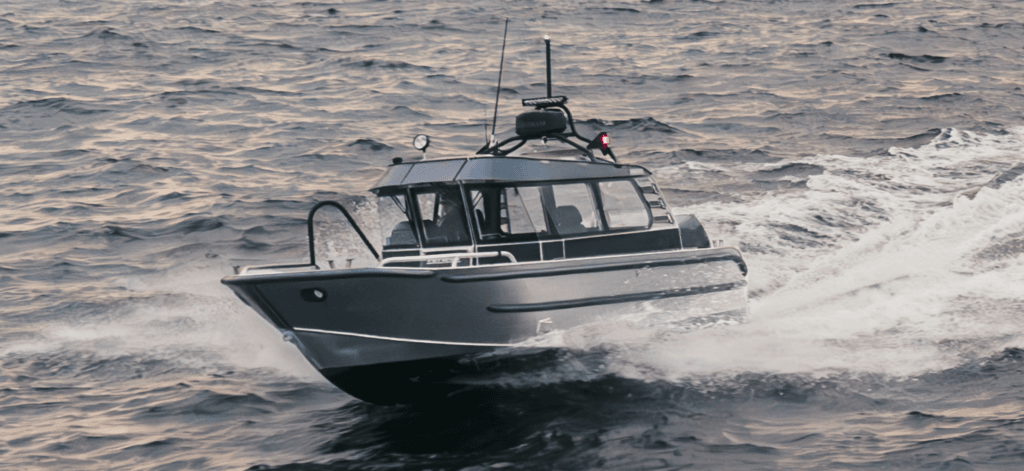 Arronet 24 5 Surprise L